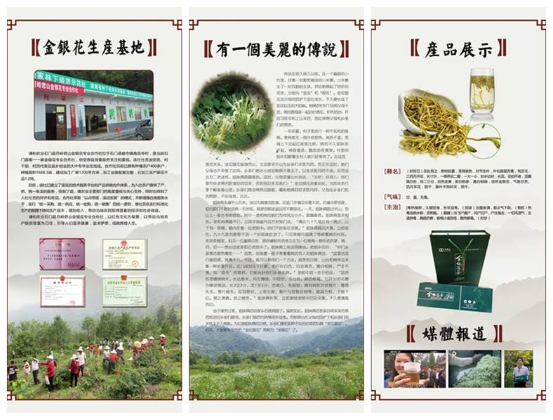 活动照片1